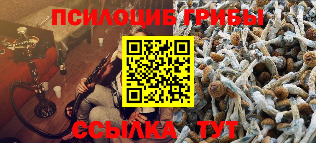 магазин продажи   Вход с VPN  Галлюциногенные грибы ЛСД  Лангепас  Галлюциногенные грибы мухоморы 